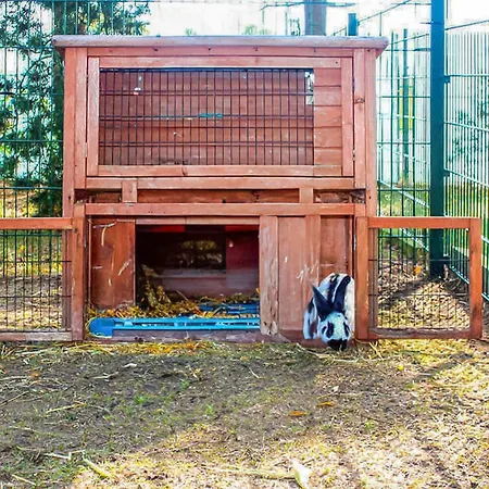 Ferienwohnung Sommersdorf شقة *